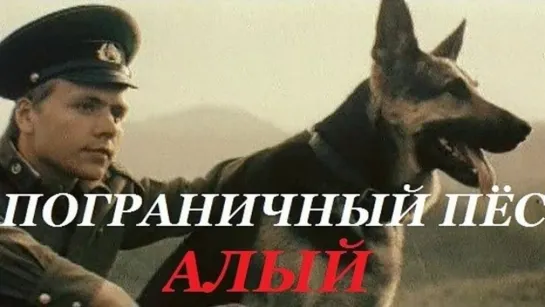 Пограничный пёс Алый (1979) Приключения Драма (СССР) Режиссёр Юлий Файт (Советский фильм)