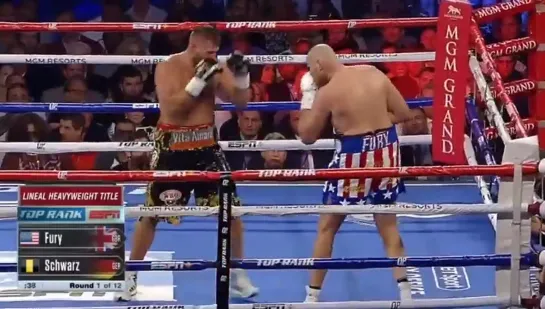 Tyson Fury vs Tom Schwarz - FULL Fight Highlights