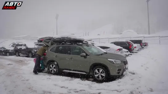 Почему Subaru Forester - отличный семейный кроссовер - Семейный тест-драйв - Своими глазами