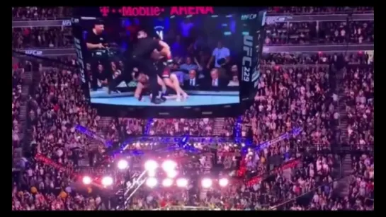 KHABIB VS MCGREGOR - highlights + rissa