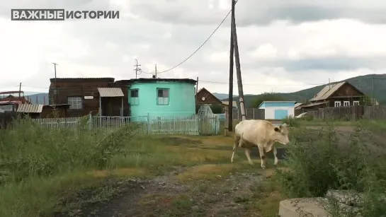 Ни за что пацаны гибнут. Бурятия о потерях на войне. К чему приведёт мобилизация.