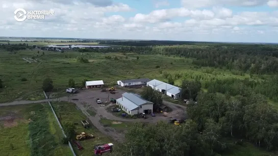 Повар в колхозе - ЧЕЛОВЕК НА КАРТЕ - Село Звериноголовское - Курганская область