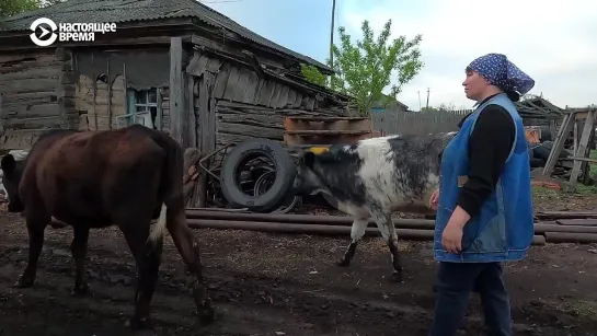 Жизнь на ферме в Малом Мостовском - ЧЕЛОВЕК НА КАРТЕ