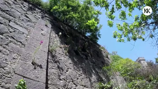 Алупка - Парк Воронцовского ДВОРЦА - Невероятная красота - Капитан Крым