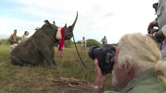 GoPro. Cause. The Last of the Rhinos. Защита Носорогов.