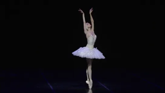 Svetlana Zakharova - The Dying Swan  (Gala des Etoiles 2015)