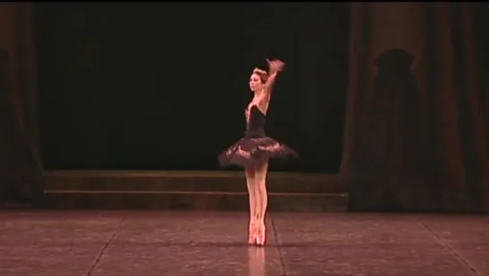 Swan Lake (Jose Martinez with Tokyo Ballet)