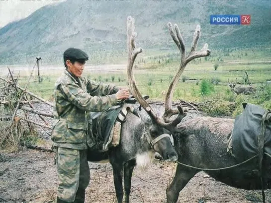 Моя любовь – Россия! - Эвенки: образ жизни, обряды, обычаи / Россия, любовь моя! / Телеканал Культура