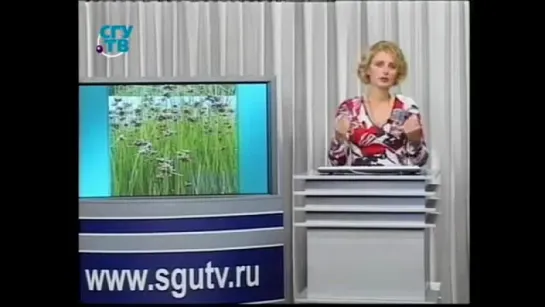 81. История Живописи. Передача 19. Папирусная Графика Древнего Египта.