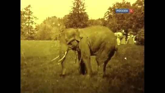 Третий Век Царского Села / Third Century Of Tsarskoye Selo.