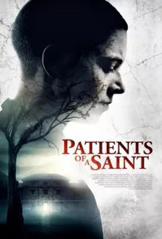 Заключенный Зеро / Patients of a Saint (Inmate Zero) (2019)