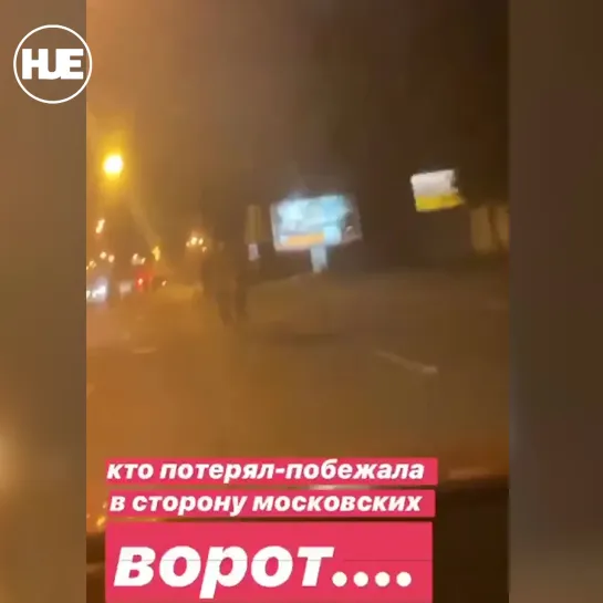 В Питере ночью сбежала прокатная лошадь, но её всё же поймали