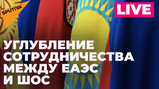 Финансы, торговля, транспорт: как ШОС и ЕАЭС будут углублять сотрудничество?