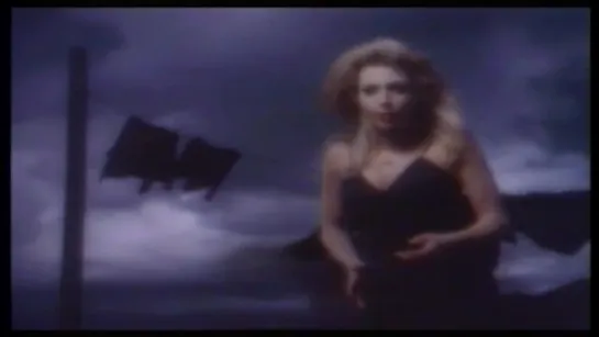 Taylor Dayne - I'll Be Your Shelter