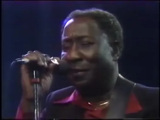 Muddy Waters - Montreal Forum 1978