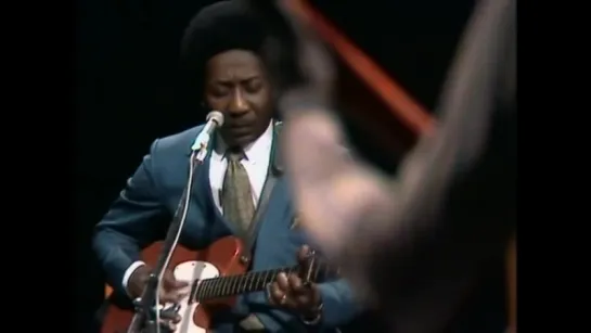 Muddy Waters - Honey Bee