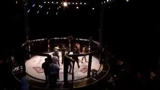 Jungle fight 81 - Diogo Telys vs. Diego Magalhães