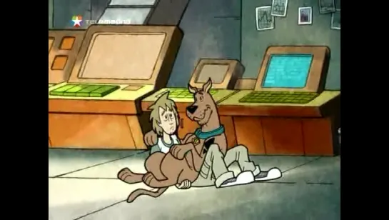 Shaggy se enriquece (1 x 1 )