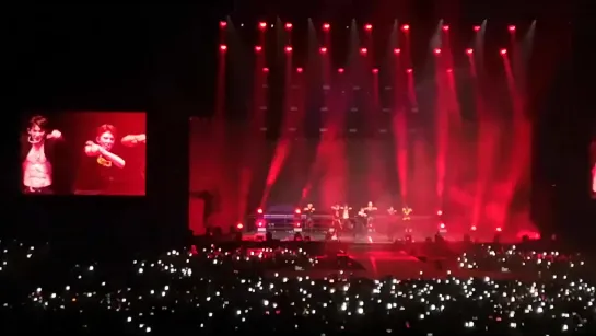 [Fancam][13.07.2019] The 3rd World Tour "WE ARE HERE" in Berlin - Alligator