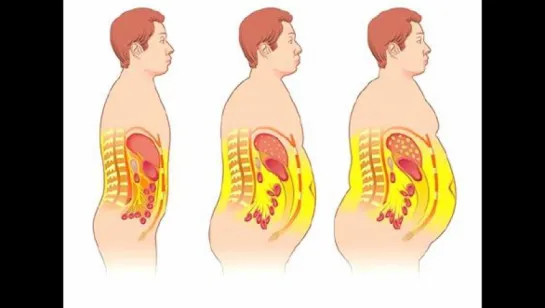 5 привычек, от которых растет живот