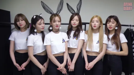 Apink Diary3 EP.08 (‘PINK PARTY’)