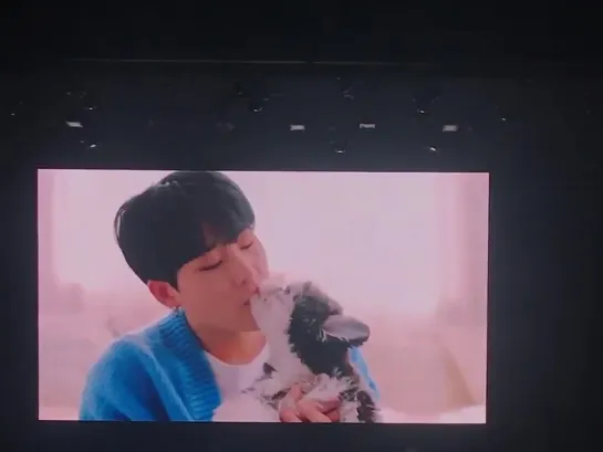 [Fancam][03.05.2019] MONSTA X JAPAN FAN CONCERT PICNIC in Okayama (VCR JOOHEON)