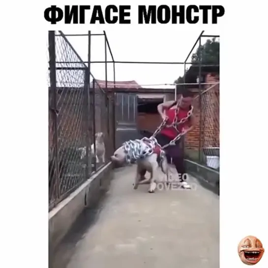 Улет видео