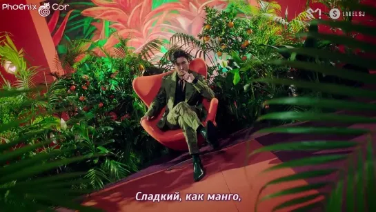 [Phoenix Cor] SUPER JUNIOR - Mango (рус. саб.)