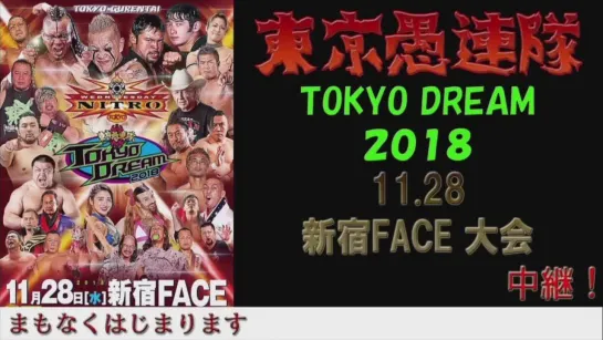 Tokyo Gurentai Tokyo Dream 2018 (2018.11.28)