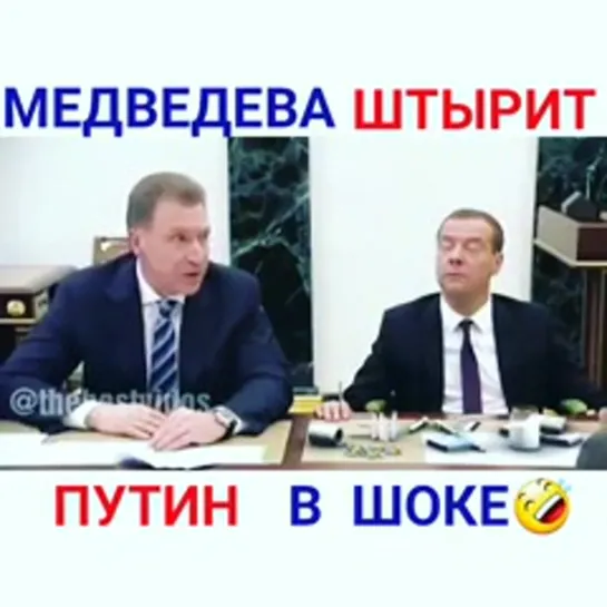 Медведева штырит