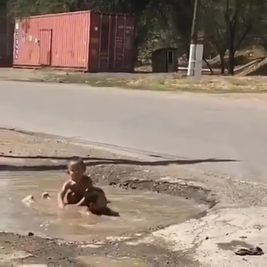 Шалшық су бойында өмір деп осыны айт..