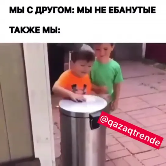 Жиза