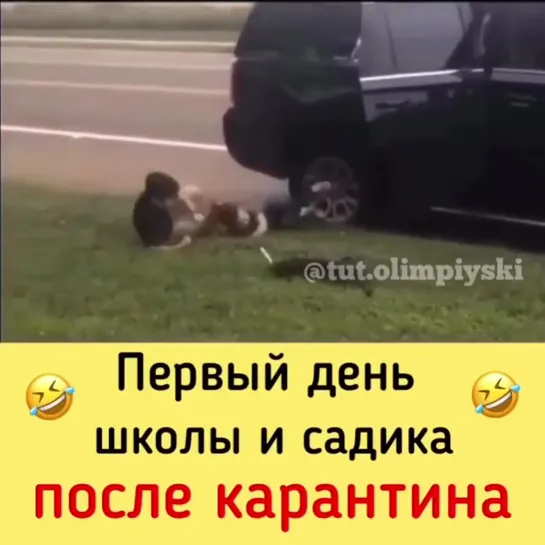 Видео от Запретный город Костанай, Рудный, Лисаковск