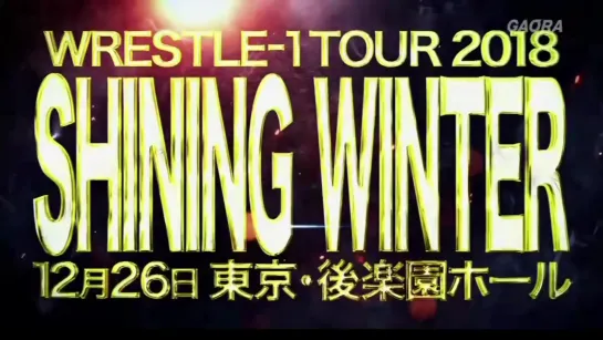 WRESTLE-1 Tour 2018: Shining Winter (2018.12.26) - День 5