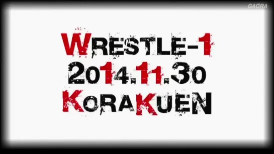 WRESTLE-1 Tour 2014: First Tag League Greatest (2014.11.30) - День 6