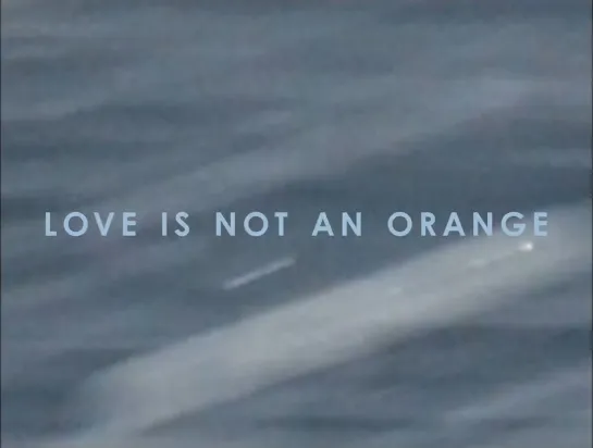 Love Is Not An Orange (Moldova, 2022) dir. Otilia Babara