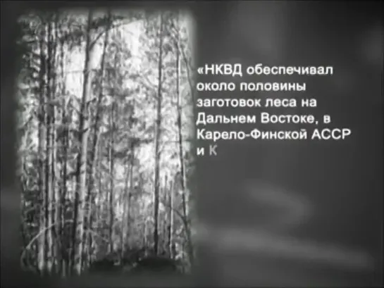 История России. ХХ век. Фильм 070. Репрессии. Чистки. Возмездие. Соловки ГУЛАГ