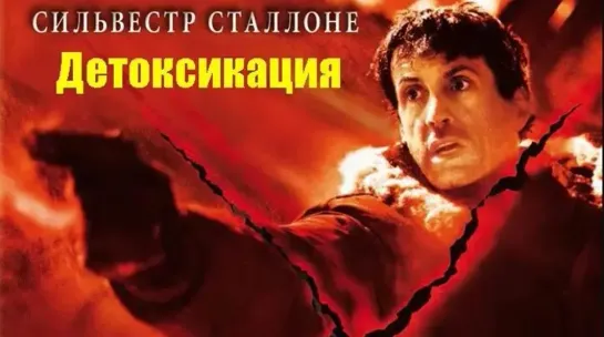 Детоксикация (2001)