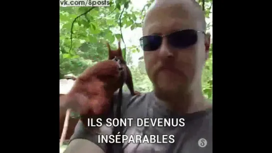 Датчанин спас  бельчонка, и они стали друзьями / Man Rescues A Baby Squirrel And Shares His Life With Him