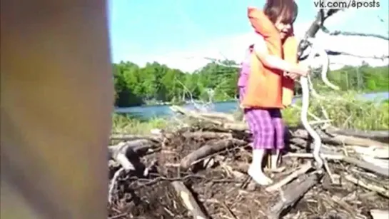 Маленькая девочка у воды поднимает змею / Little Girl Finds Gigantic Snake, Shows No Fear