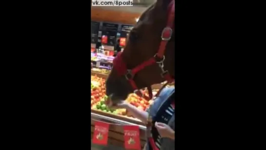 Мужик привёл лошадь в супермаркет и кормит её яблоками / A horse eats apples Super U