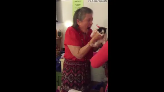 Ученики подарили двух котят учительнице, похоронившей кота / Students surprise teacher with 2 kittens after her cat dies