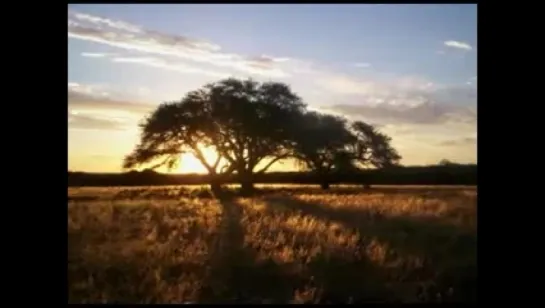 Atahualpa Yupanqui - El árbol que tu olvidaste