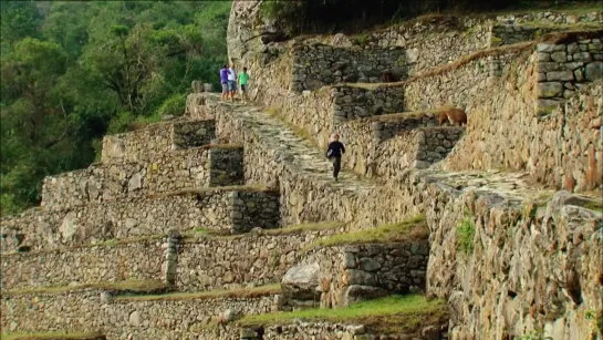 Le monde des Incas