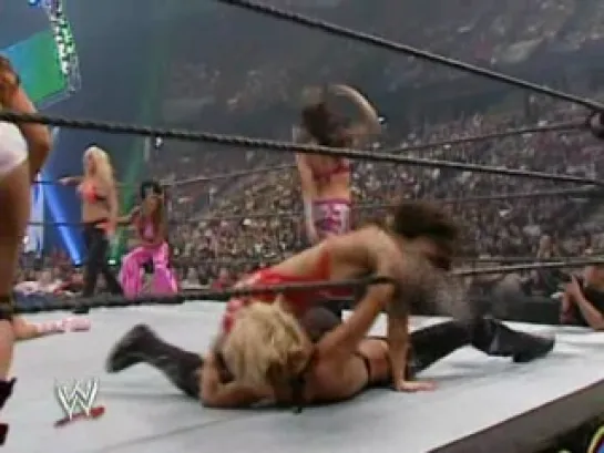 WWE SummerSlam 2007 Diva Battle Royal