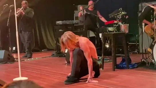 Iggy Pop - I Wanna Be Your Dog (Live in Tivoli Vredenburg 22/06/22)