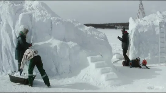 Пингвин нашего времени (2015)