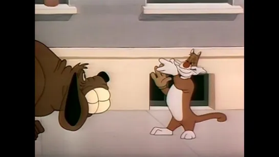 Merrie Melodies 1947 - El gato Silvestre - Perros y gatos