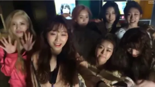 [170328] Lovelyz @ Kwave Instagram Live