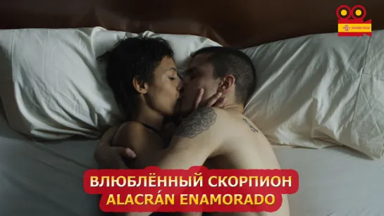 Влюбленный скорпион/Alacrán enamorado (2013)